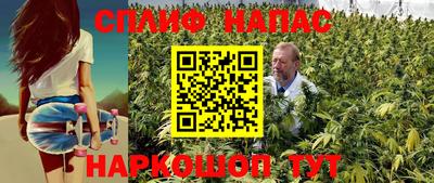 амф Заволжье