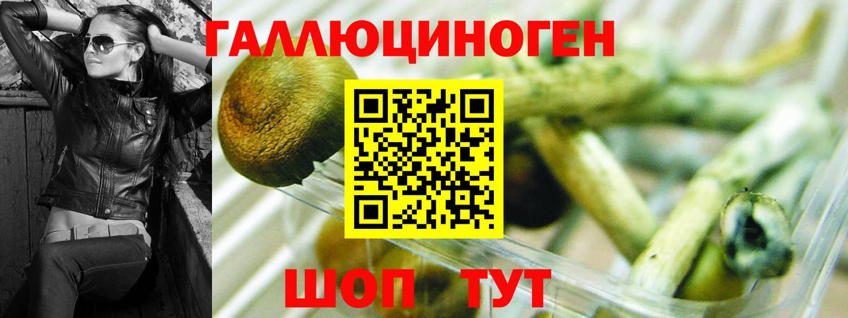 Шахты  Галлюциногенные грибы мухоморы  Галлюциногенные грибы MAGIC MUSHROOMS  закладки  Вход с VPN 